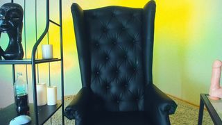 Vivien_split great tits