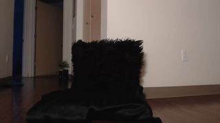 J|_|!Cy4|\||\|y 2019-01-07 1901 [VSRU]