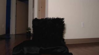 J|_|!Cy4|\||\|y 2019-01-07 1901 [VSRU]