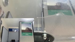 BellaTorrez  2017-03-21 004120