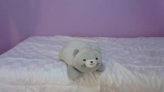 CB - hornypuca (2018-09-04)