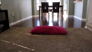 Mandylohr doing stuff