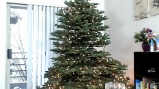 fiery_redhead Chaturbate Recording 12/12/2016