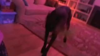 video 50