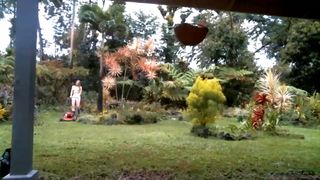 kaileeshy_200405  topless lawnmowing