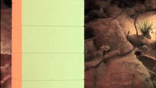 Loro Elena Sofia Ricci