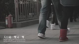 Stranger In The North