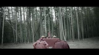 Ten Miles of Peach Blossoms