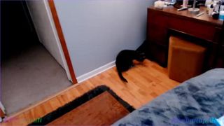 kiwicoulis 2020-05-17 p2