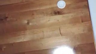 jenny scordamaglia energy 4