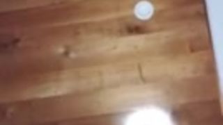 Jenny scordamaglia 82