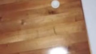 Jenny scordamaglia 82