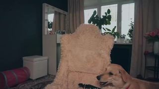 prismo_prismo 2020-05-23