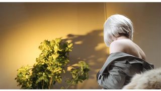 acorn_power 2020-05-14