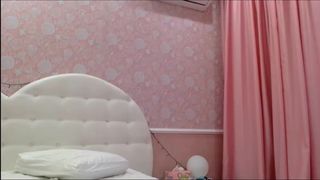 Barbie secret friends