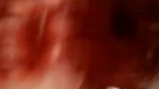 delfi holland peterete