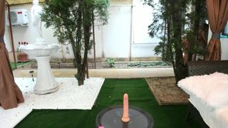 Dariaa Doll 50