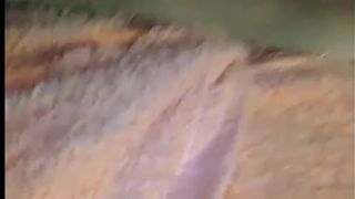 Black star - Flirtymania 2