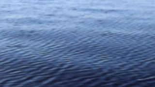 Pixie Pixelized Tropical Suck