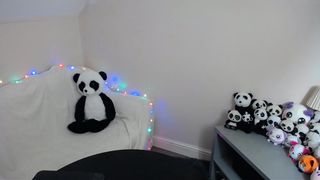 B4BYK3333 2019-01-21 2027 [VSRU]