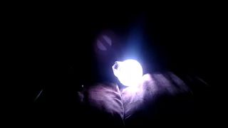 lucythealien webcam show 2020-04-10 02-10-58 209