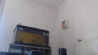 Rachou1 webcam show 2020-07-27 15-22-29 920