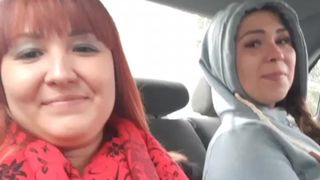 Fox-Lisa cam recording 2020-08-17 15-54-08 548