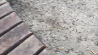 Lusi19 cam recording 2020-08-11 14-47-05 777