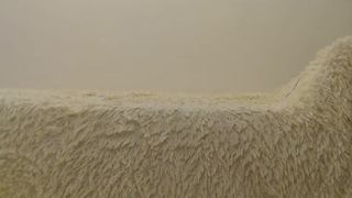 MsLily cam show 2020-09-13 07-21-10 355