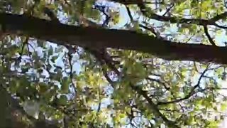 FOX69LOVE cam show 2020-09-08 20-44-22 238