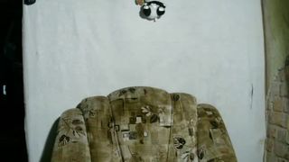 alicepussy cam show 2020-09-27 07-24-26 907