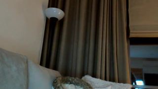 AriannaSecret mfc 221216