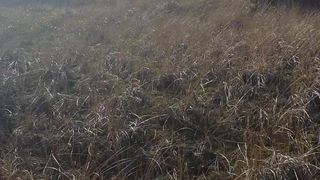 mandy and tawney play outside