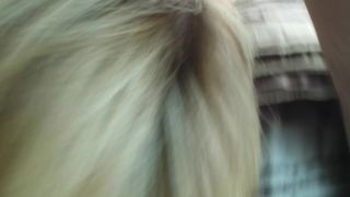 GINGER_BANKS – POV SUCK&FUCK – PREMIUM VIDEO