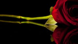 Mary 210330 1555 CloseUp