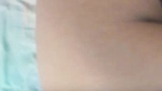 polly_holiday 2