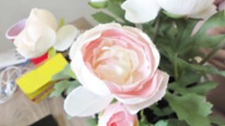 b4 raid miminoko (great tits) 3