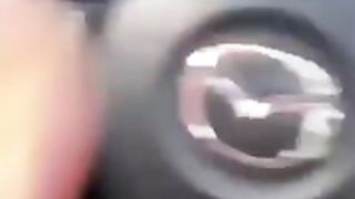 perras en el auto