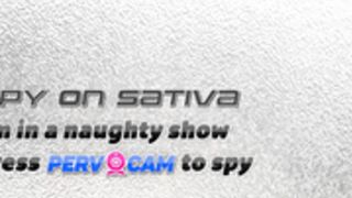 sativa rose