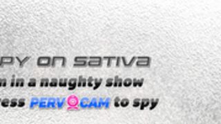 sativa rose