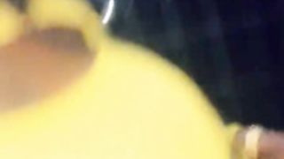 African Tits
