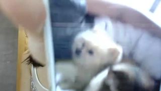 Lovelykittie Sashabae 20160730 Part 4/5