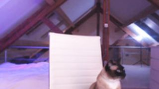 |4|_|R4 2020-10-11_14-23-56_165