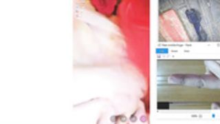 2 pigs Rola and other rat