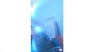 2 pigs Rola and other rat