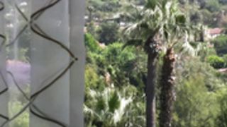 denise milani tease HD Upscaled