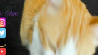 Yourlittlepervert 51