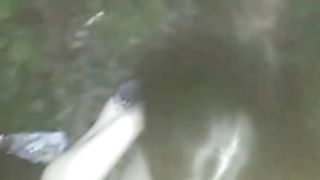 Masya1996 cim, swallow 2021-05-25