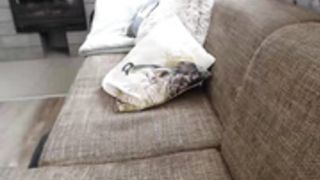 yoursalome_2021-05-24_12-42