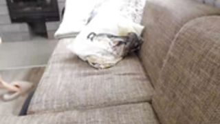 yoursalome_2021-05-24_12-42